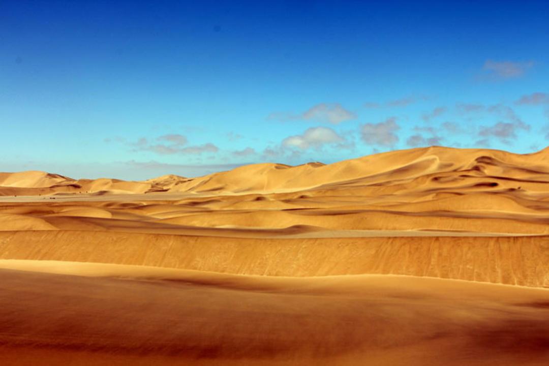 صحرای افریقا