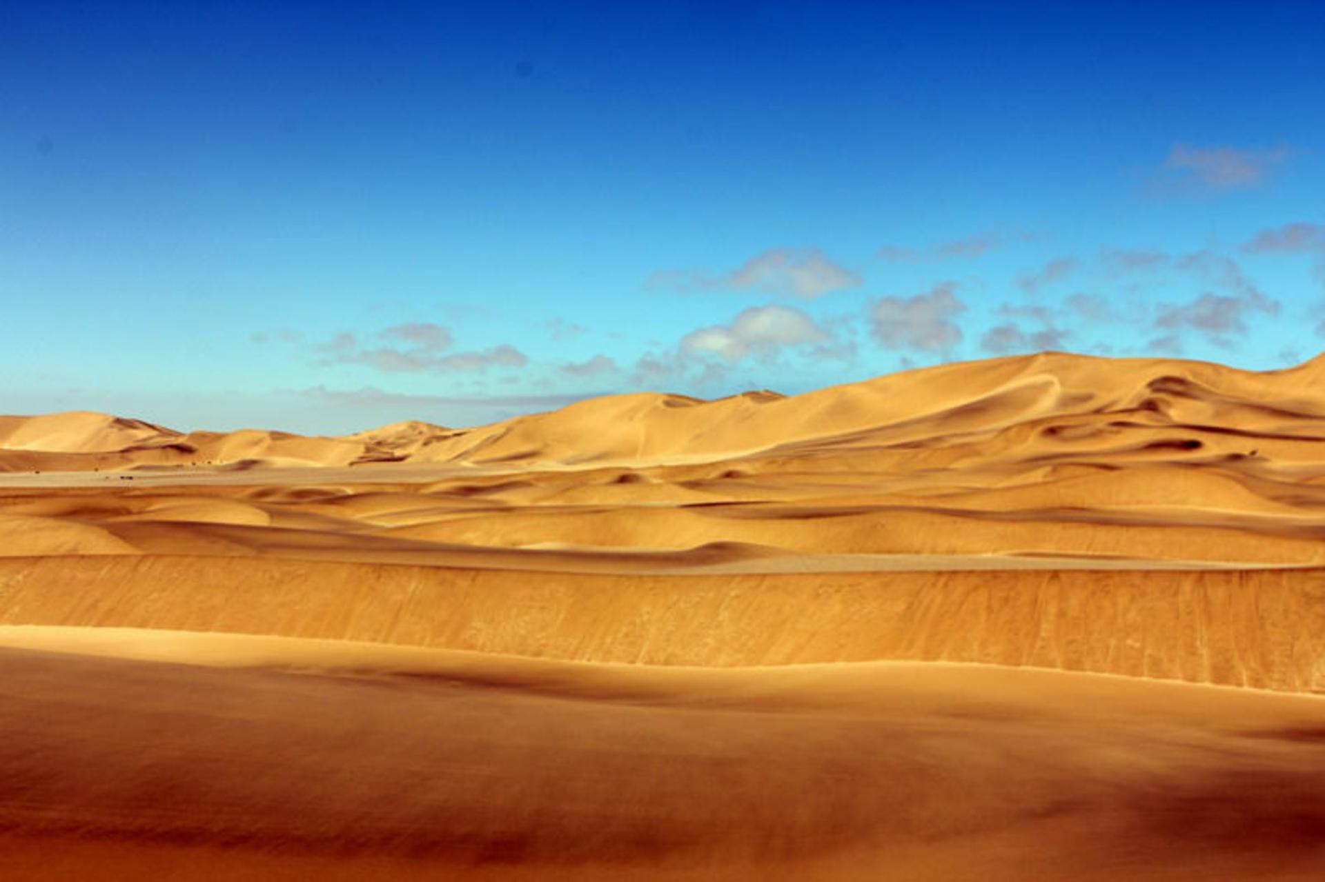 صحرای افریقا