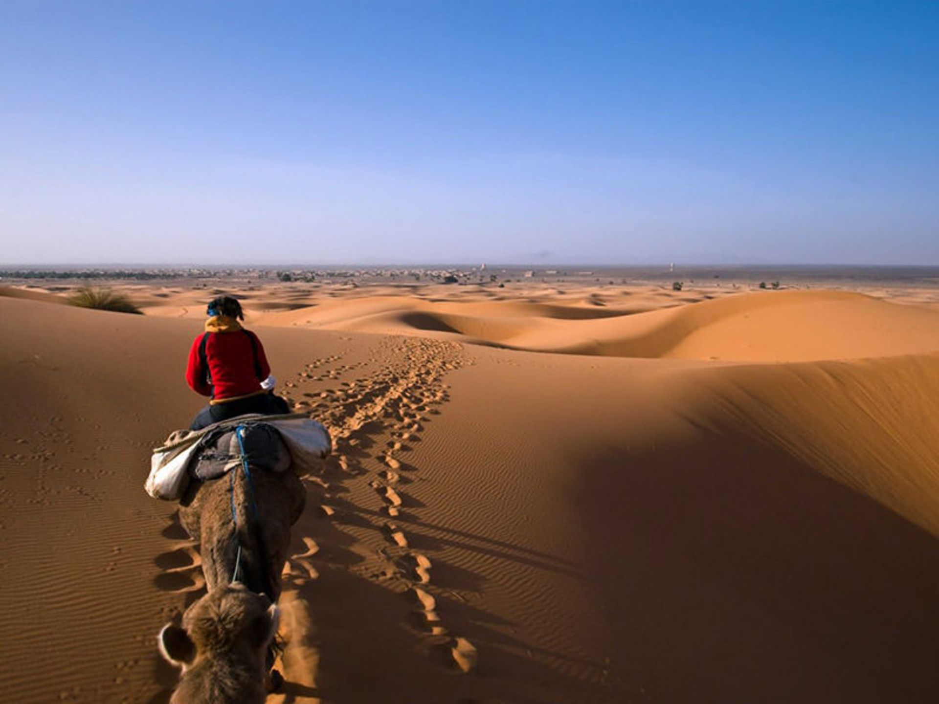 بیابان ابوظبی