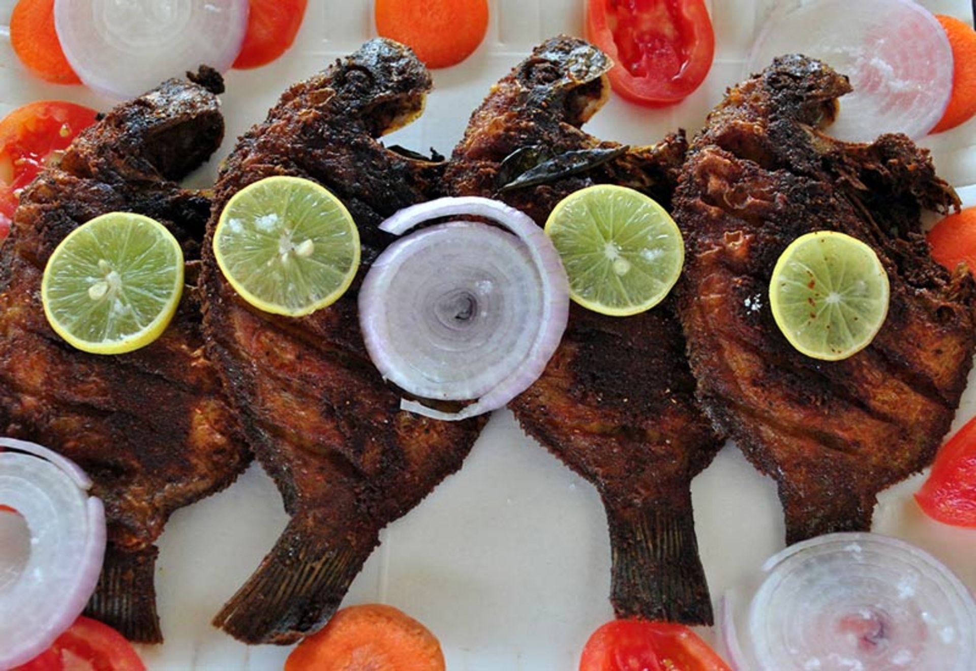 ماهی مالدیو