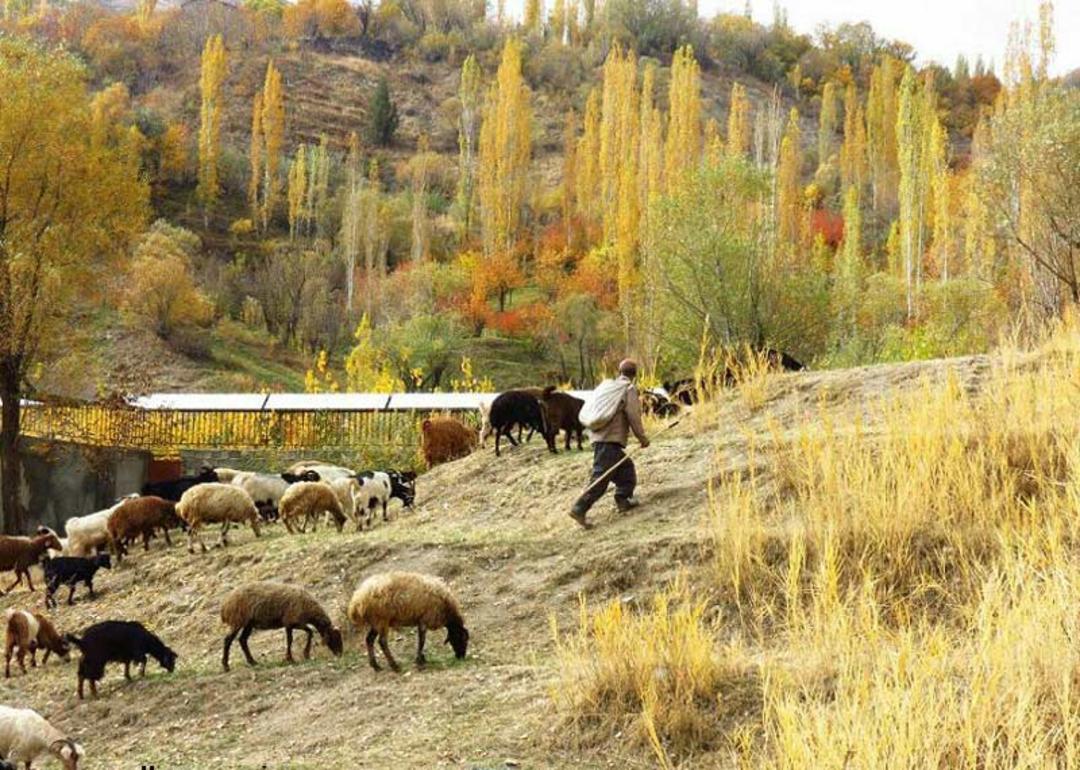 روستای کلوان