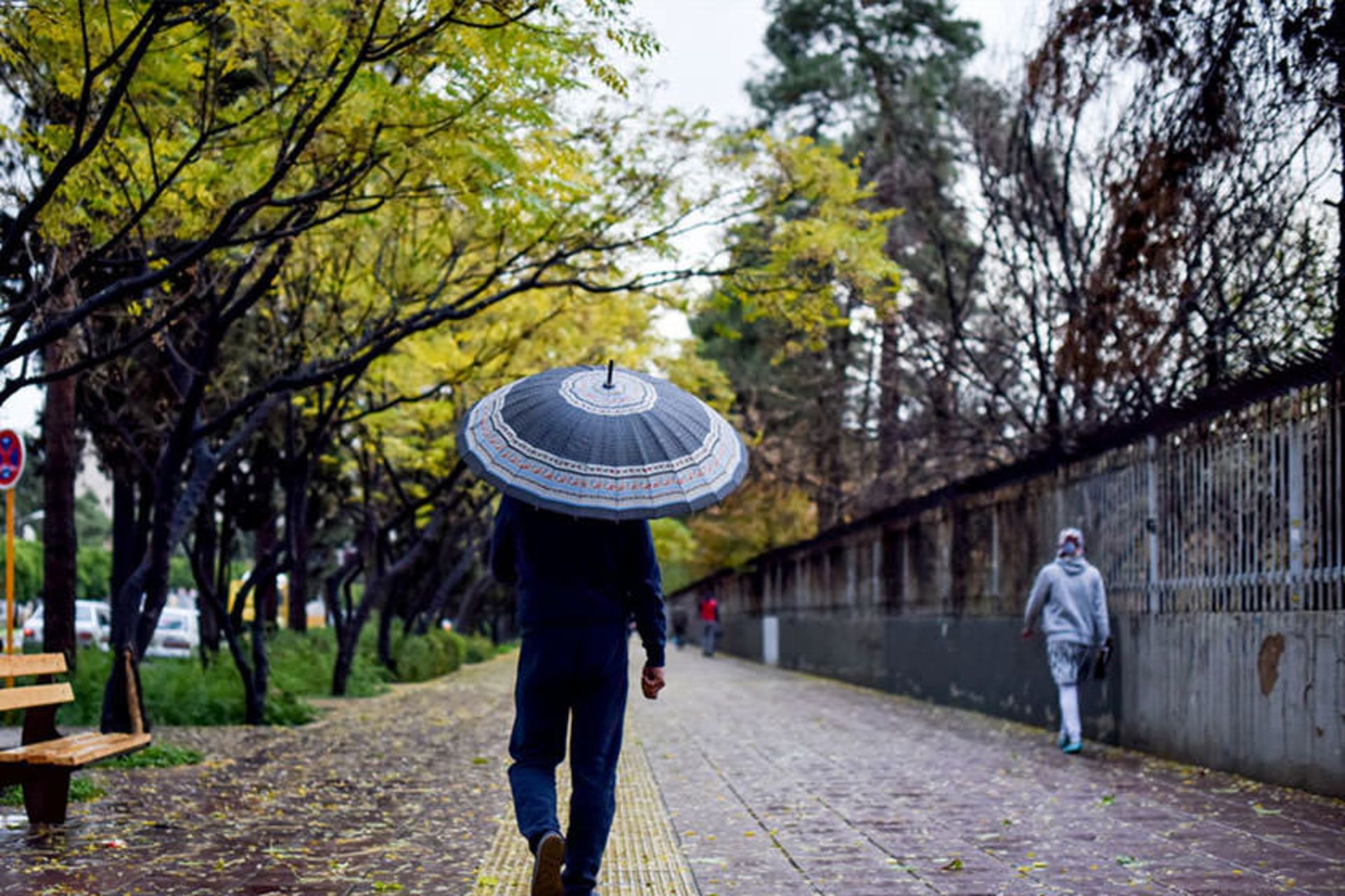 بارش در ایران
