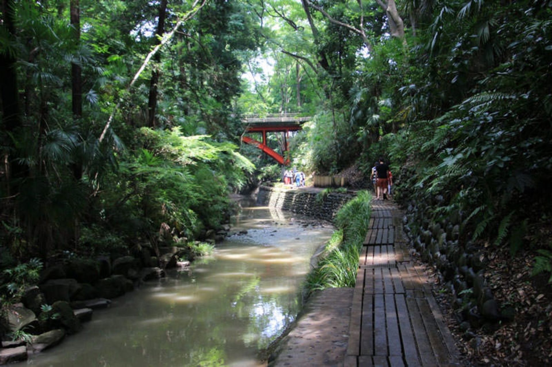 پارک «Todoroki Ravine»