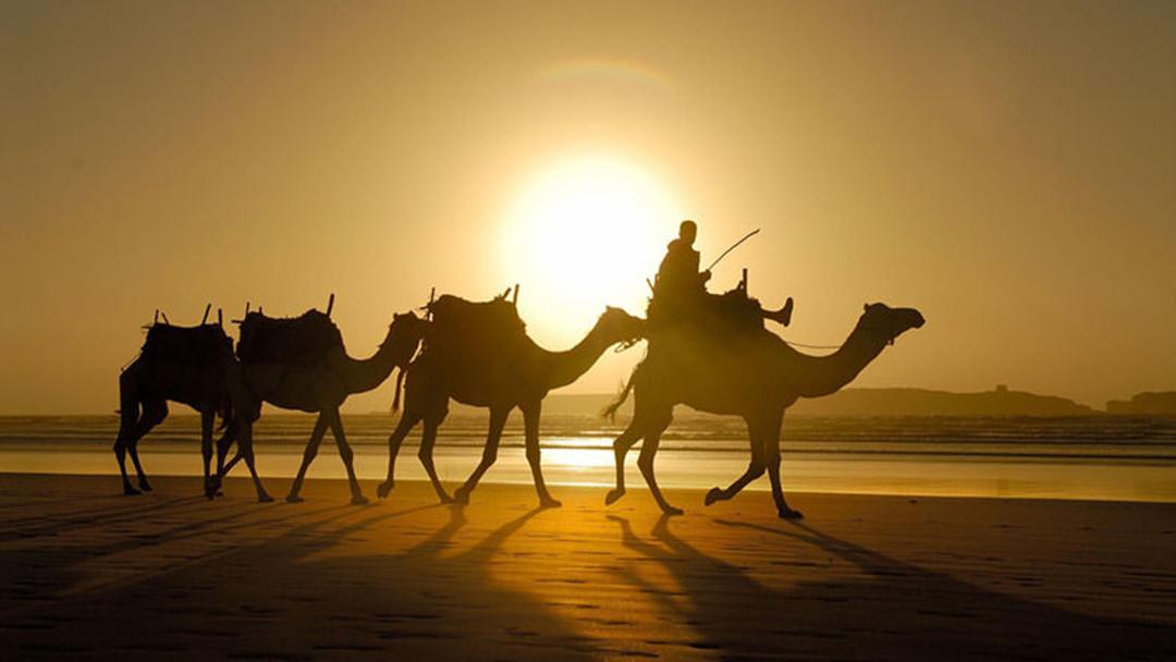 مراکش