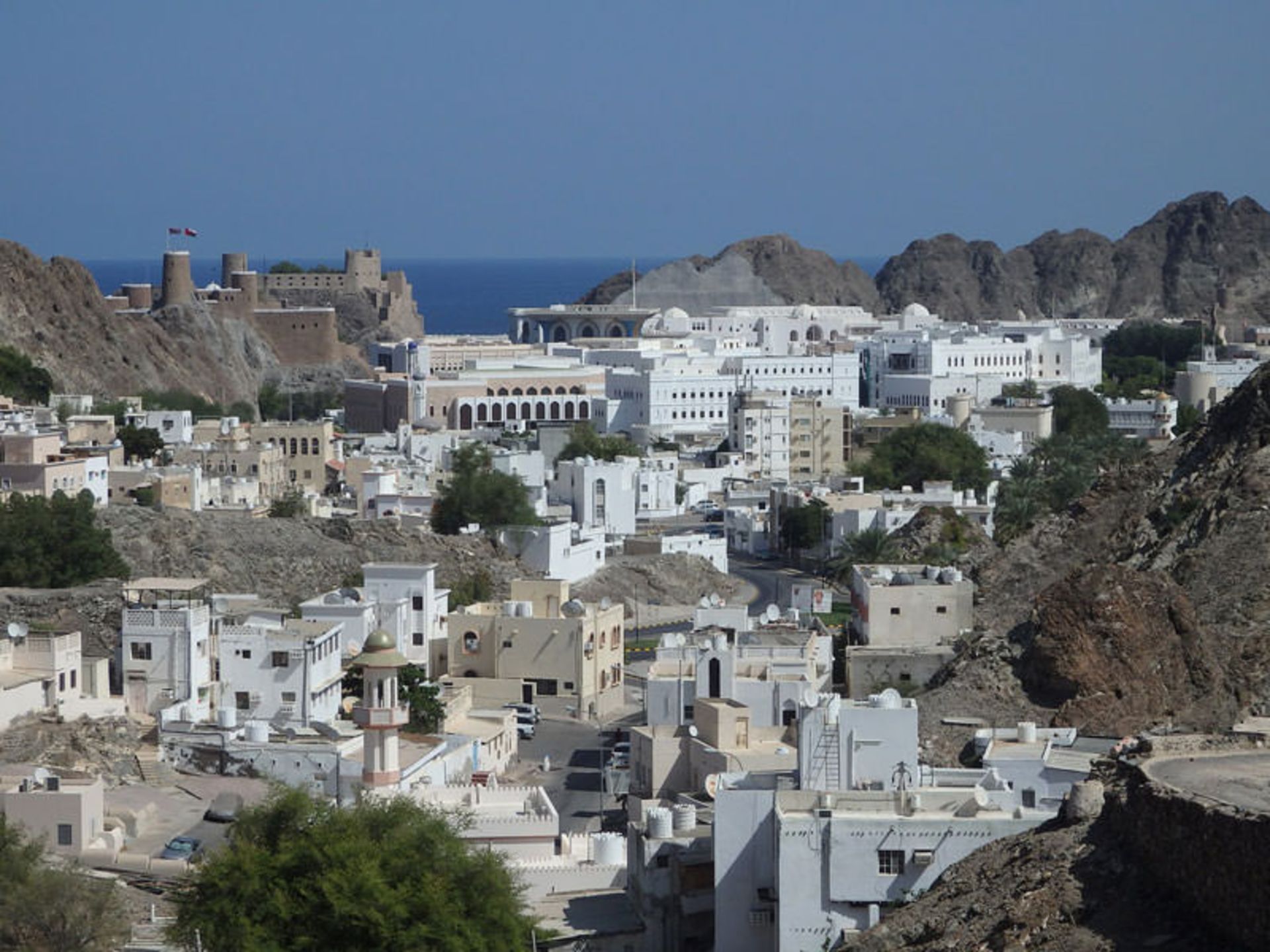 مسقط