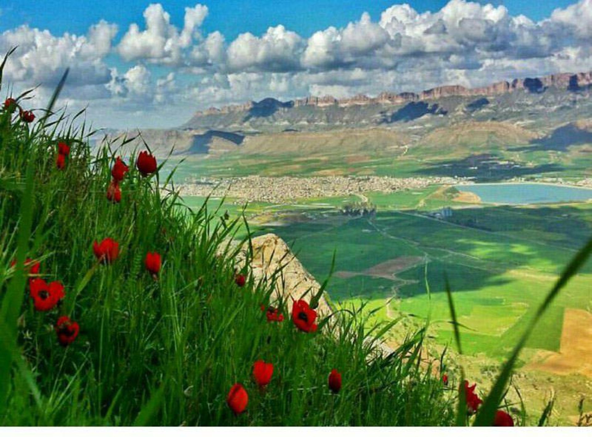 عکاسباشی