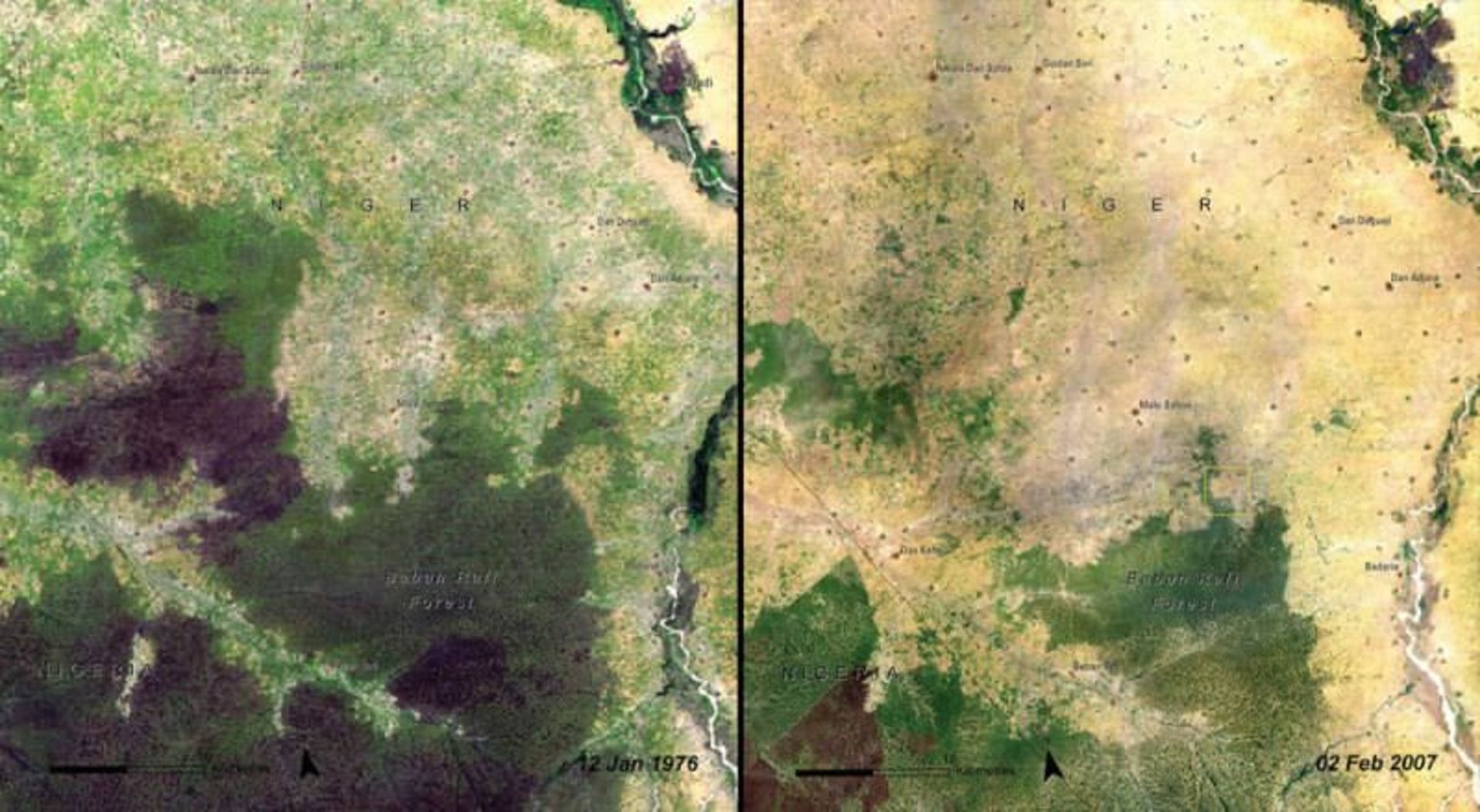 بابان رفیع فارست