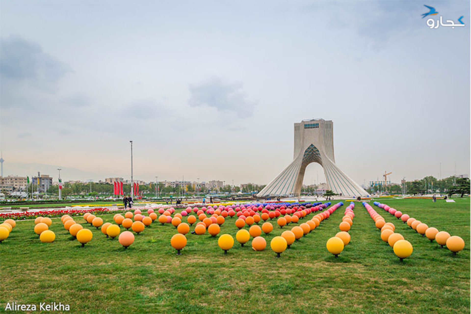 میدان آزادی - گل لاله