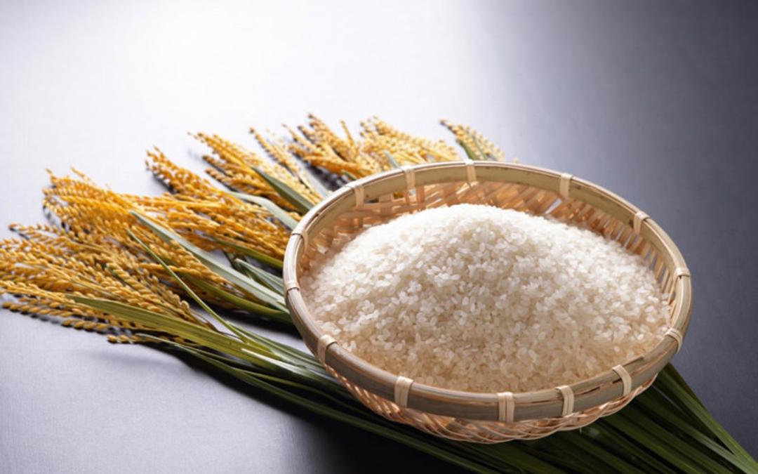 رژیم غذایی ژاپن