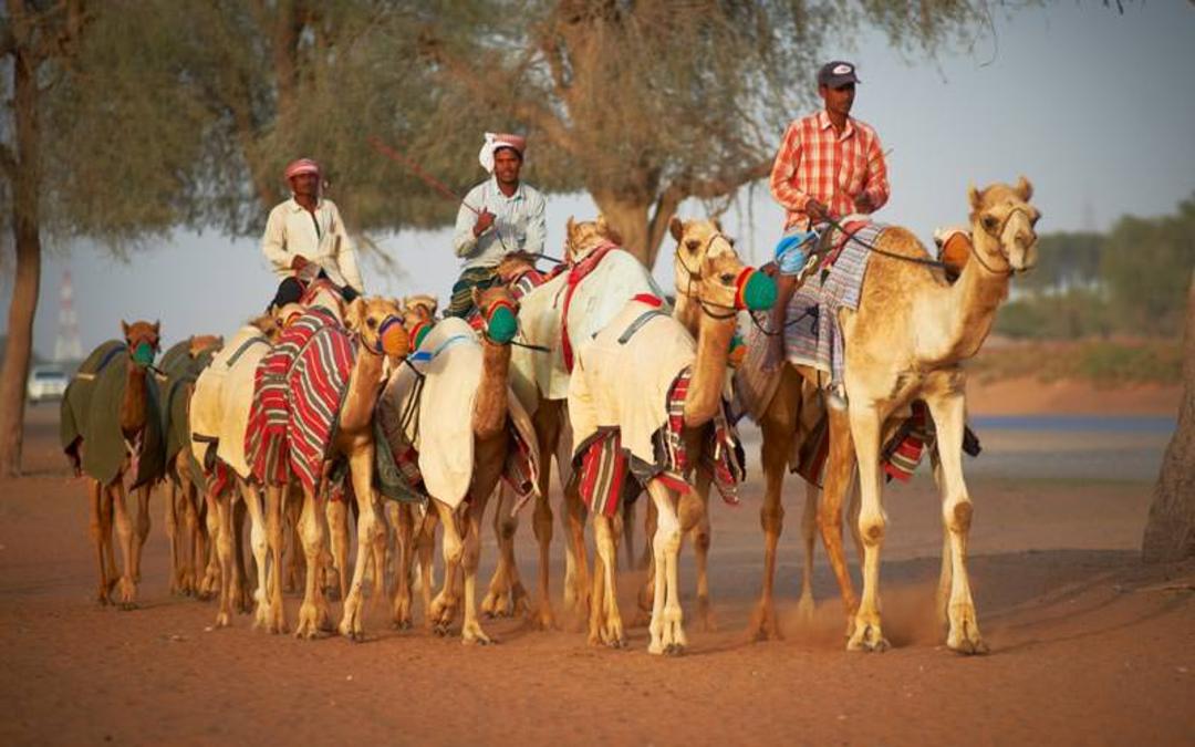 راس الخیمه