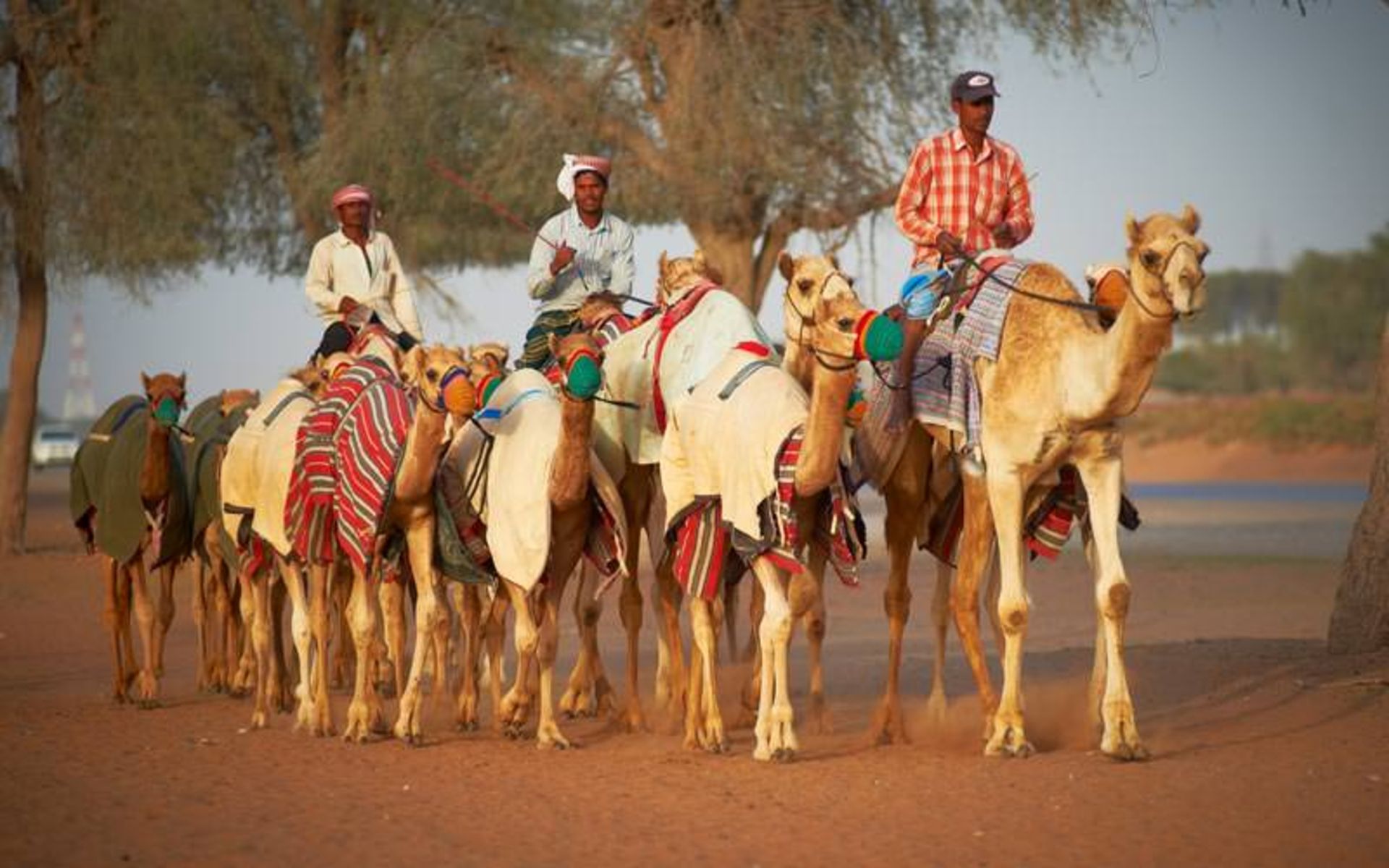 راس الخیمه