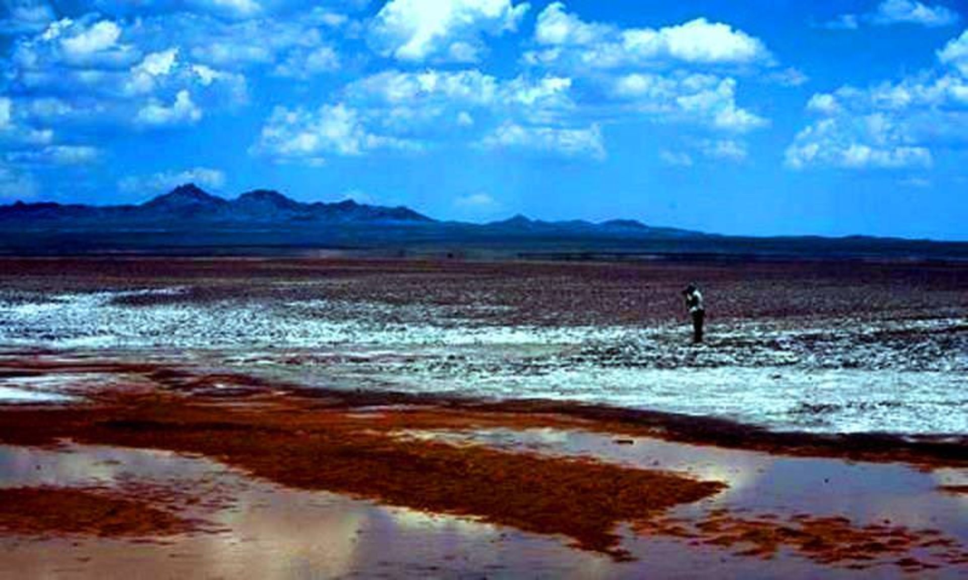تالاب گاوخونی