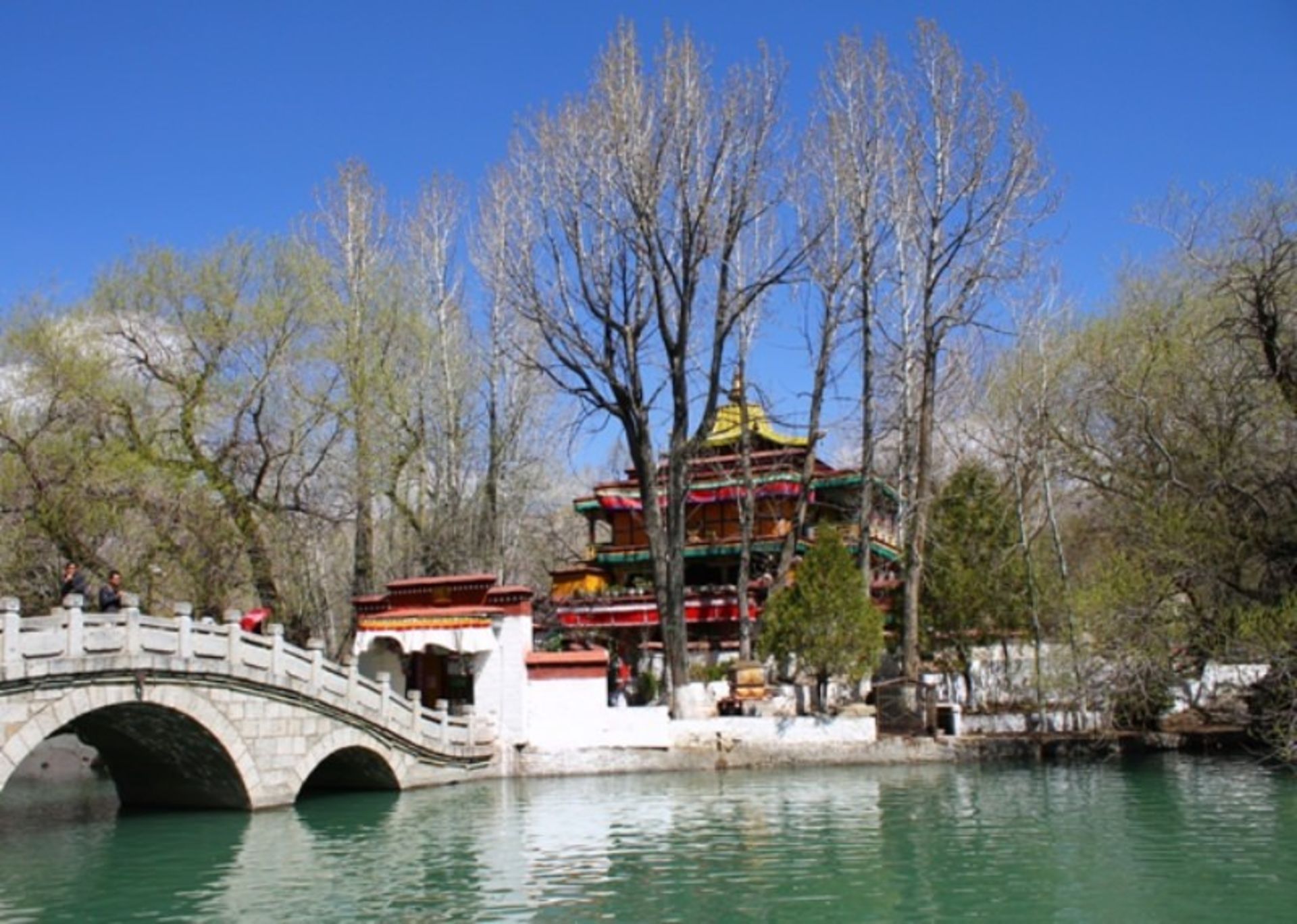 باغ دراگون کینگ پول (Dragon King Pool)