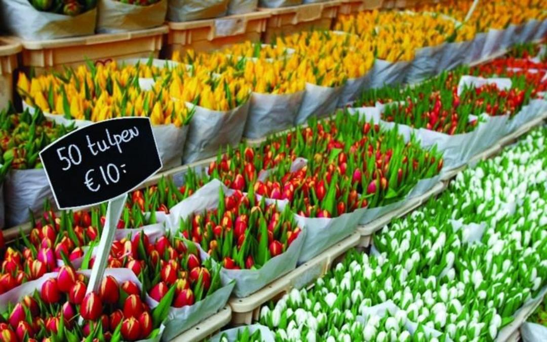 ستریت مارکت (street markets) آمستردام