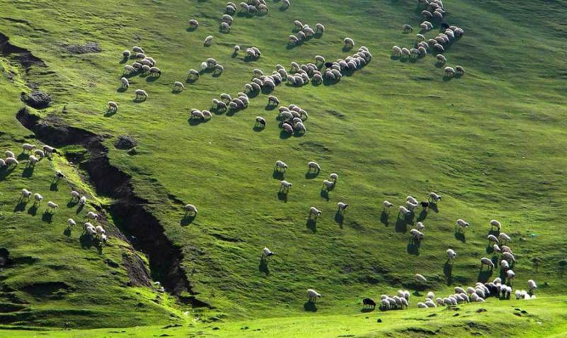 دیلمان