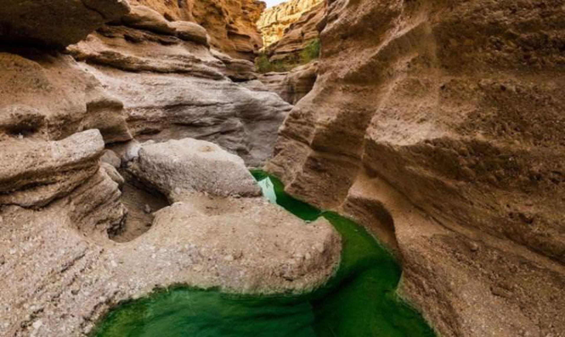 کال جنی
