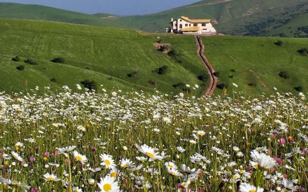 جاذبه های اردبیل