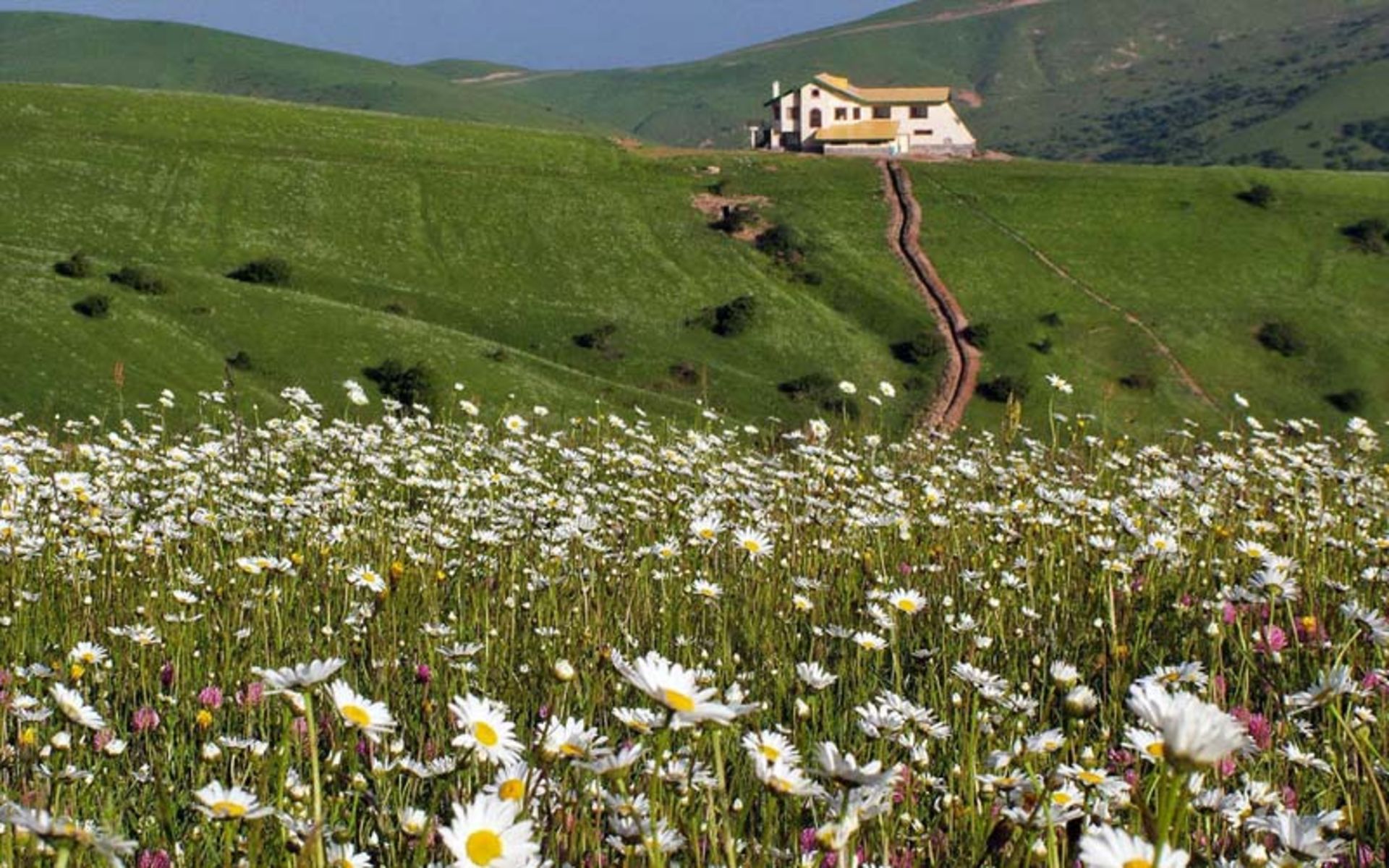 جاذبه های اردبیل