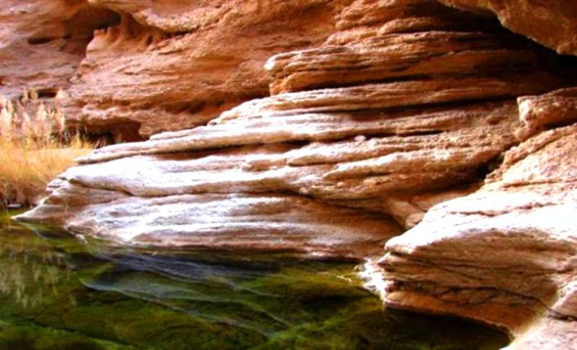 کال جنی