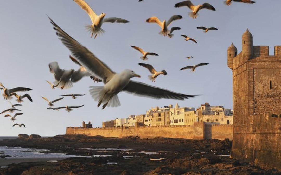 صوریه، مغرب (مراکش)