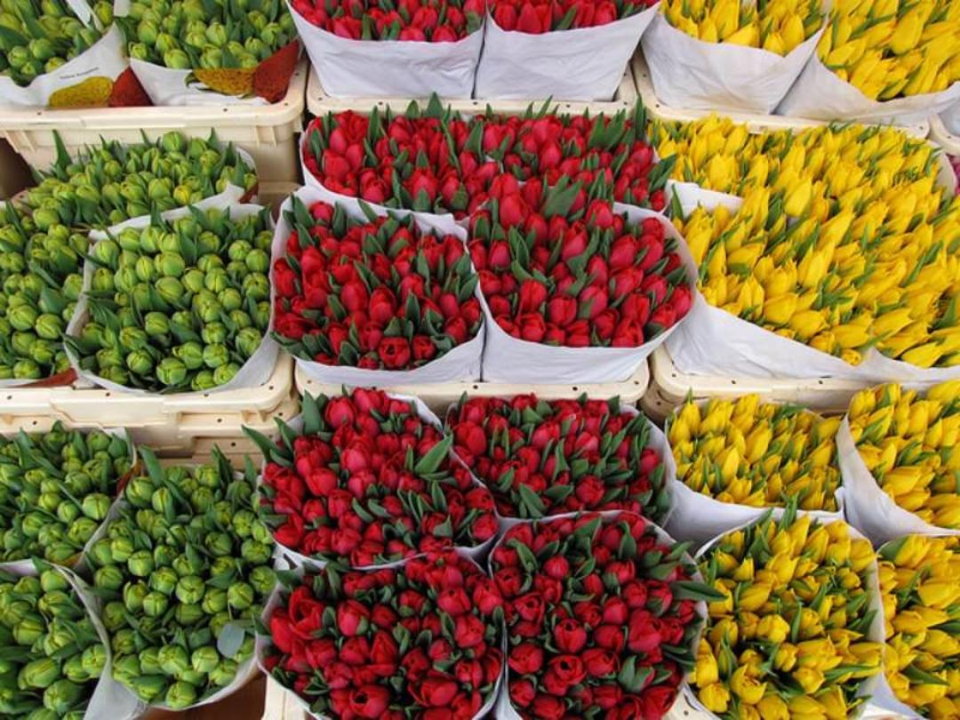 بازار گل (flower market)