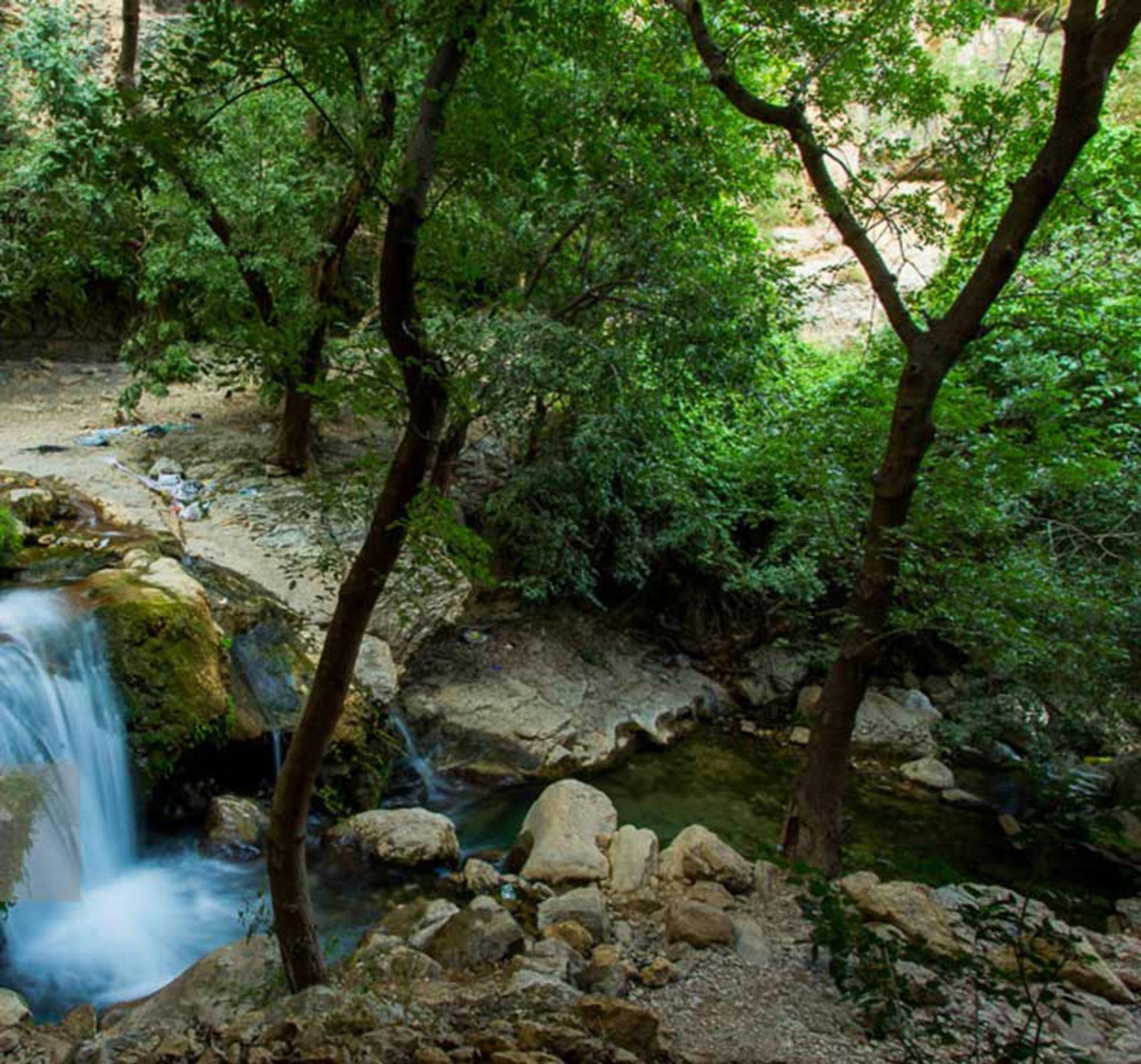 تنگ تامرادی