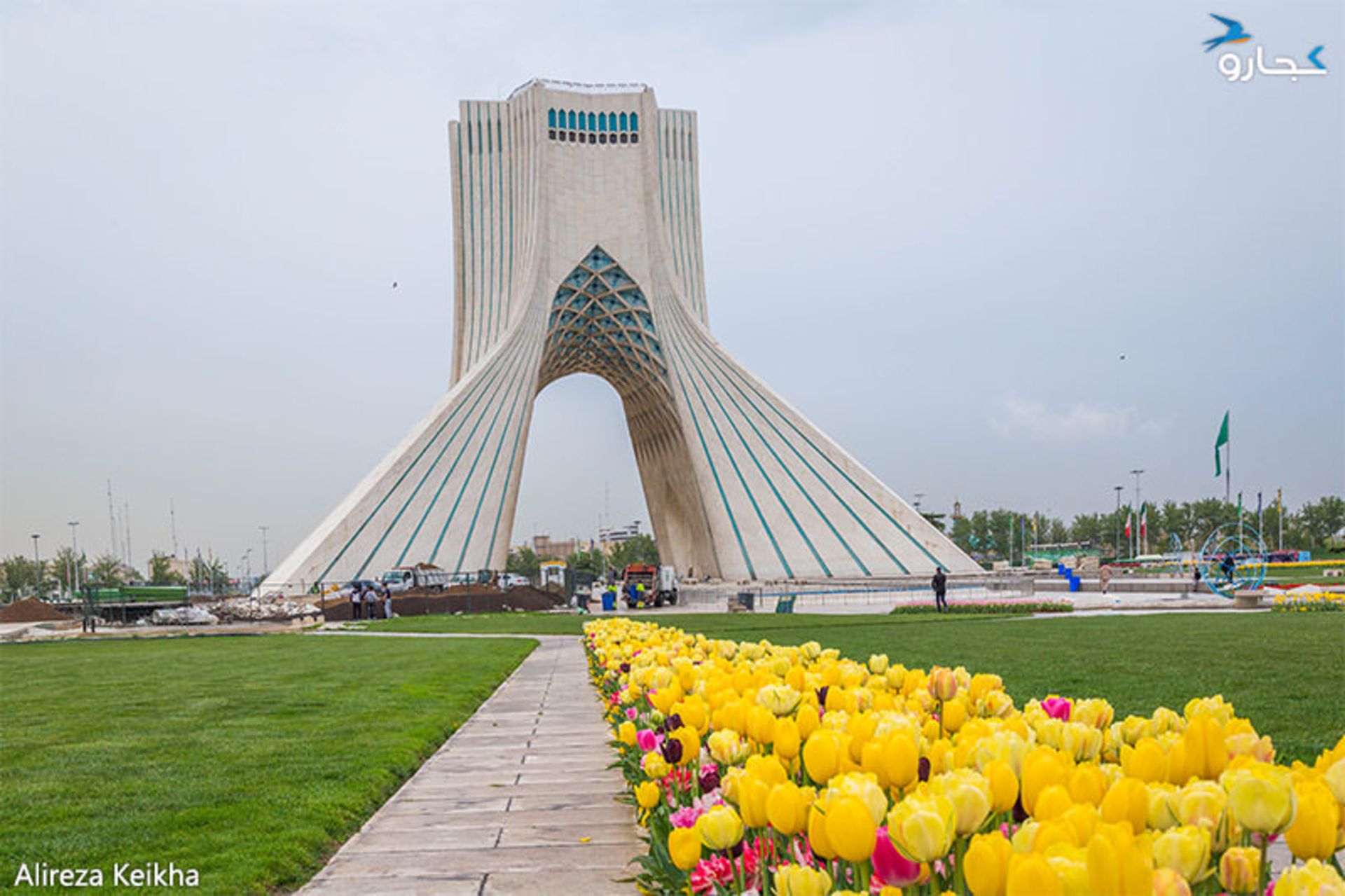 میدان آزادی - گل لاله