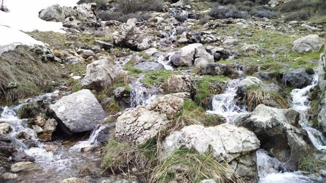 عکاسباشی