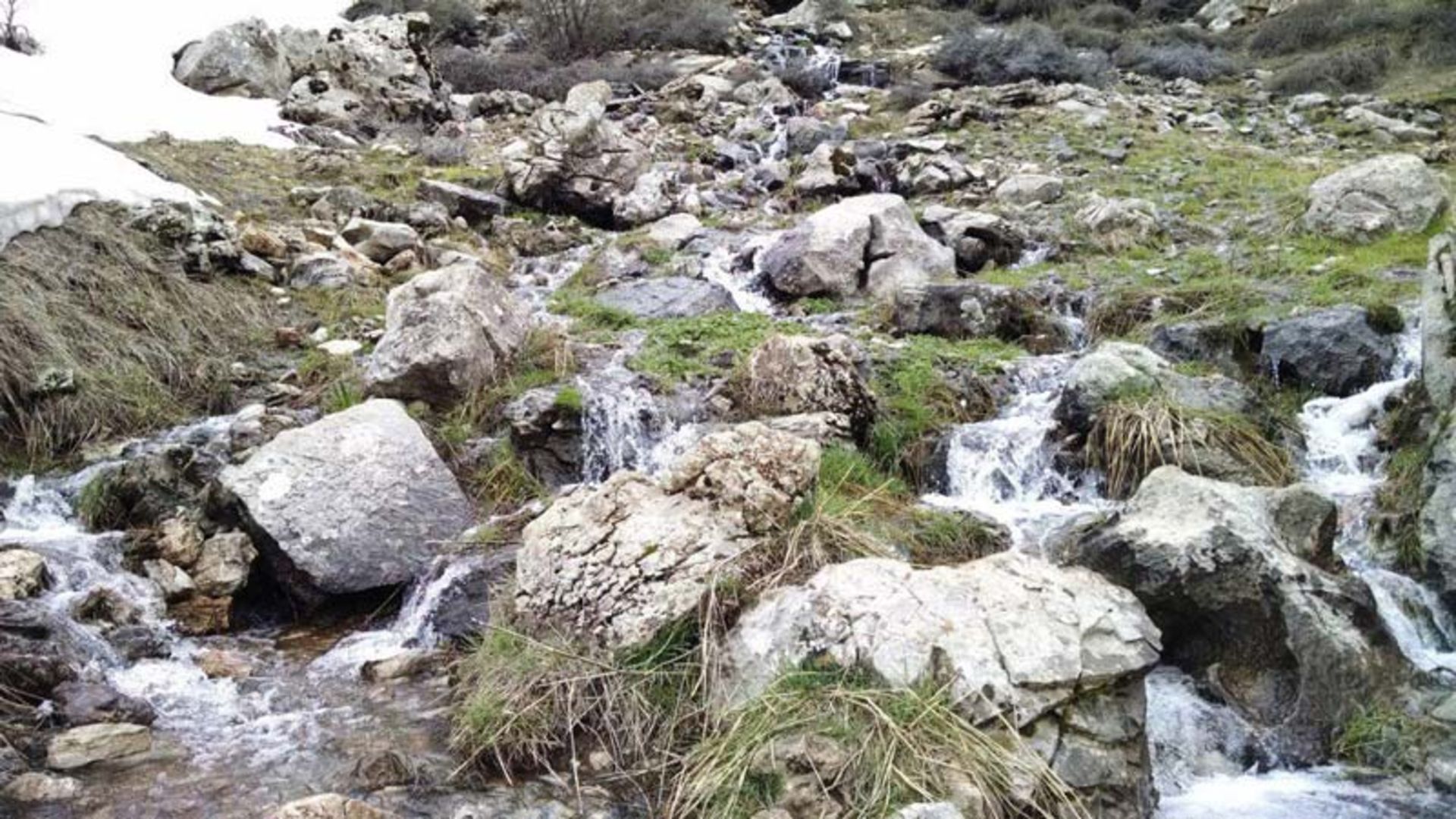 عکاسباشی