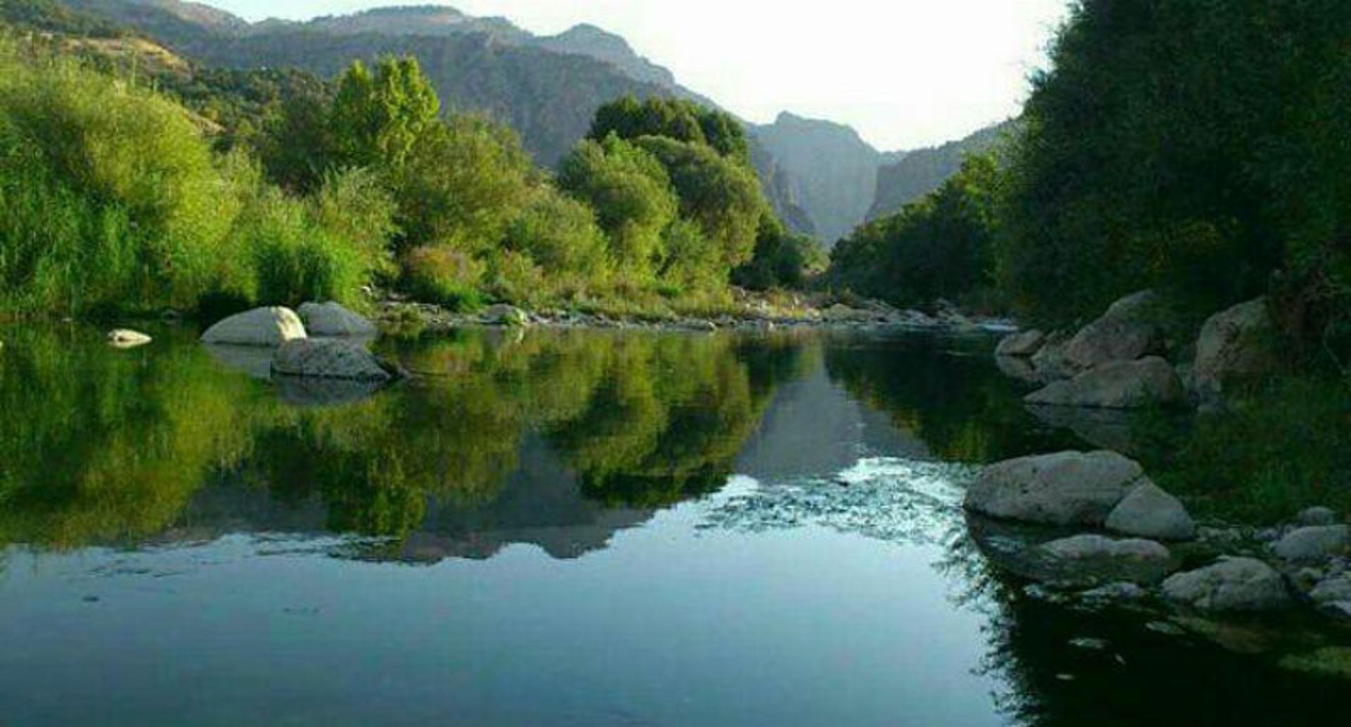 عکاسباشی