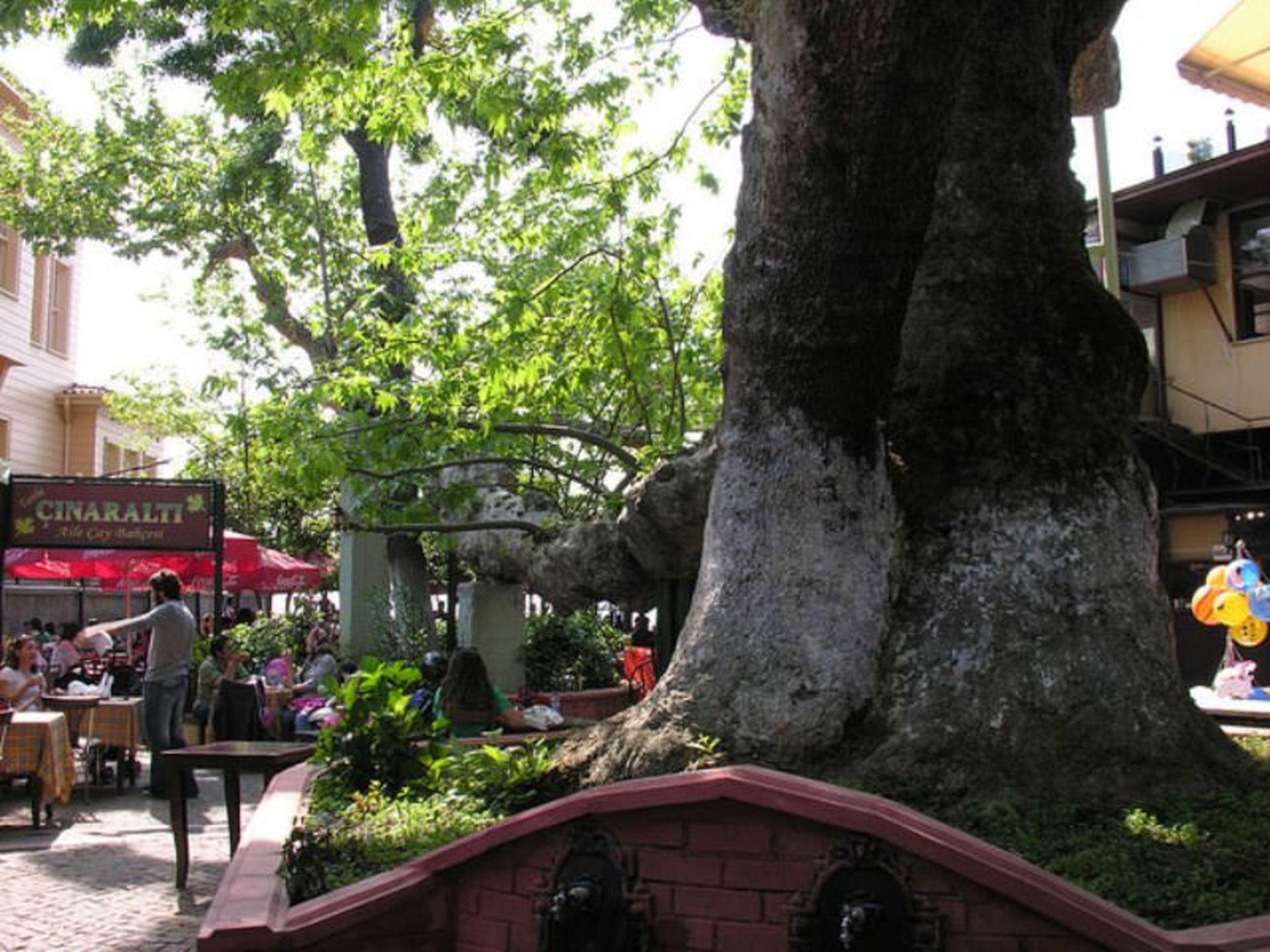 چنگل کوی چینارالتی (Çengelköy Çınaraltı)