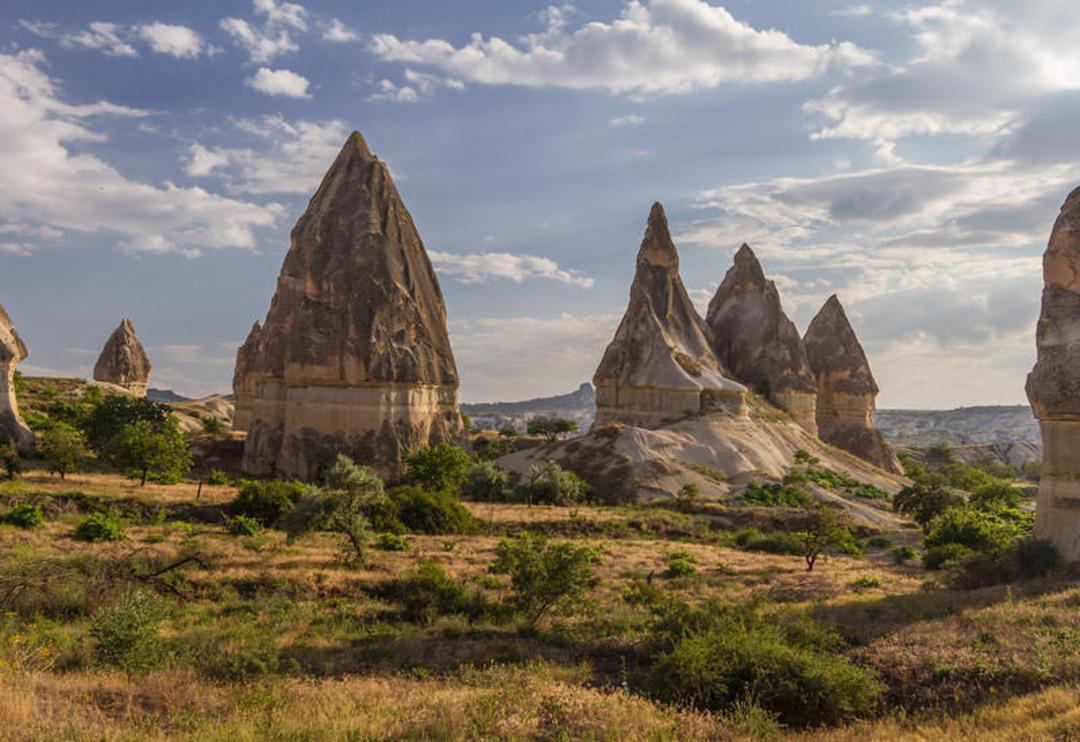 پارک ملی گورمه