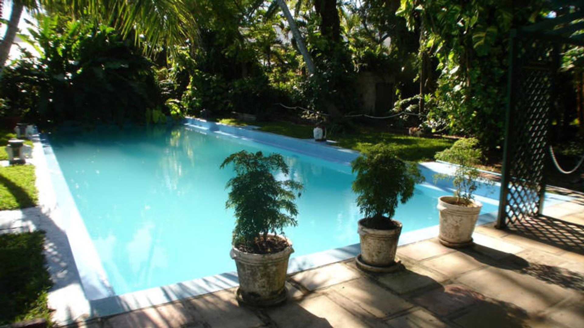 Ernest Hemingway House 6