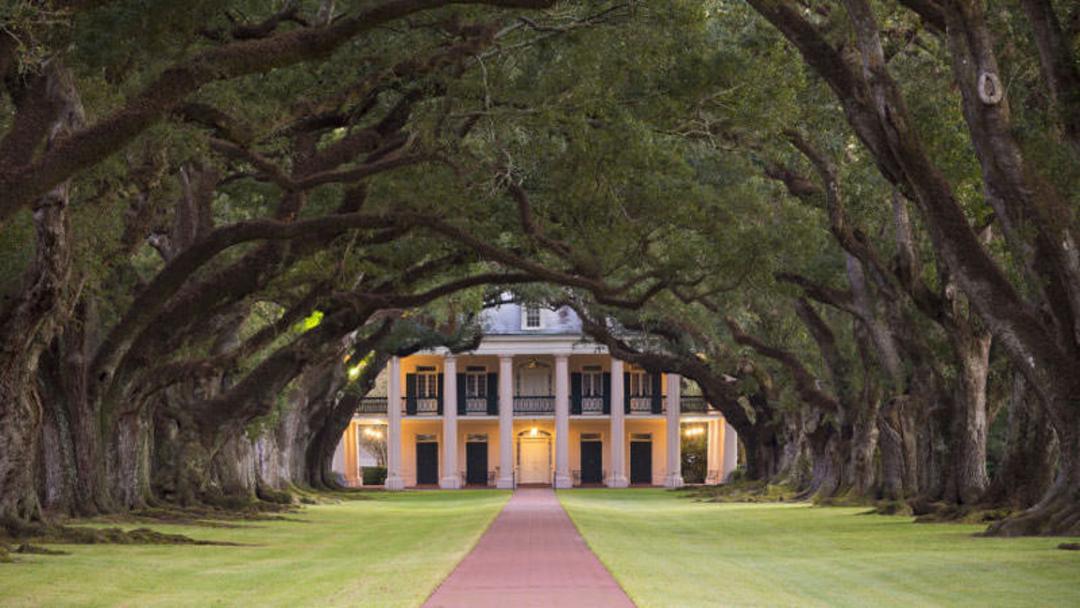  ۲ Oak Alley Plantation