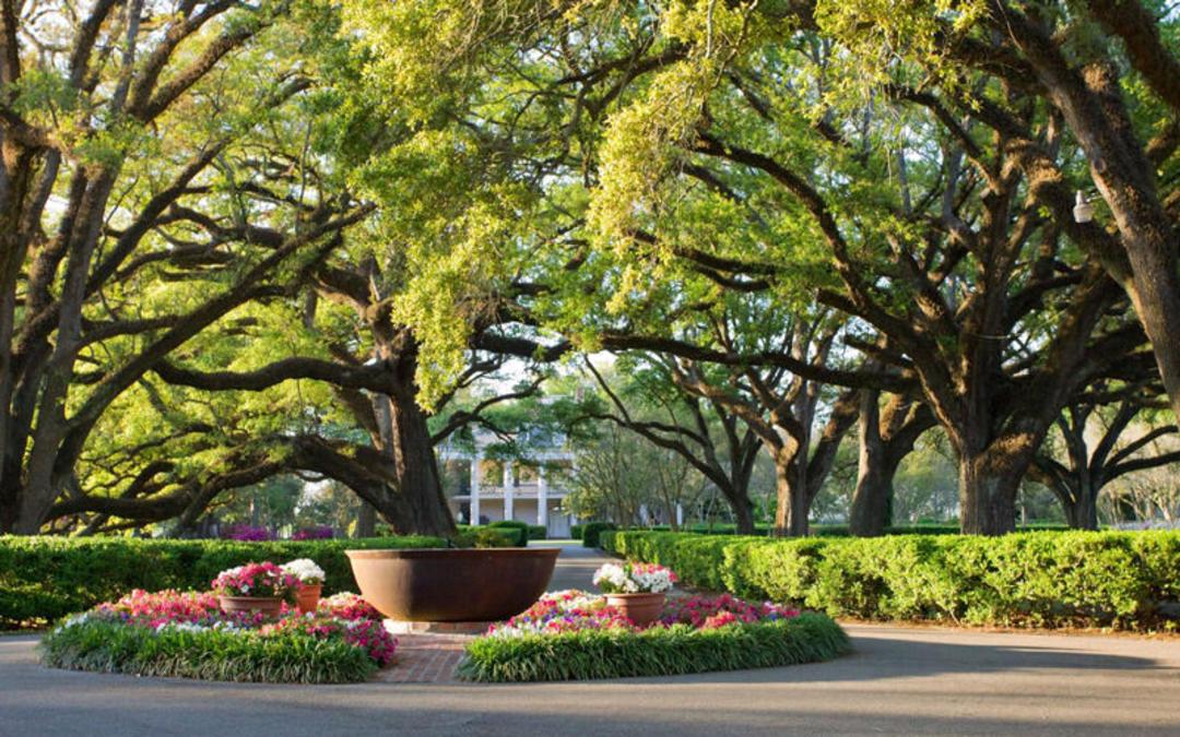 Oak Alley Plantation ۴