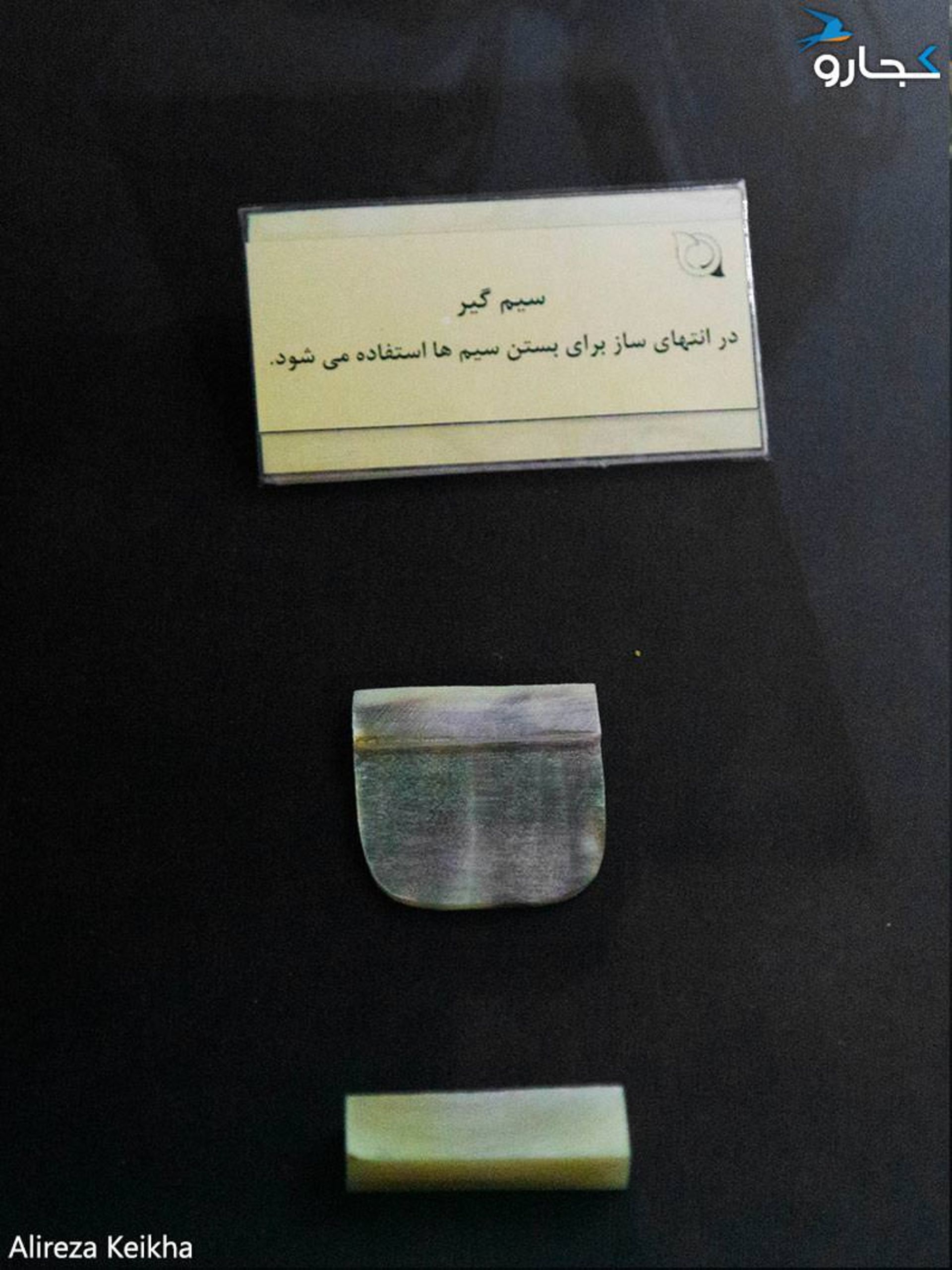 موزه موسیقی - تار