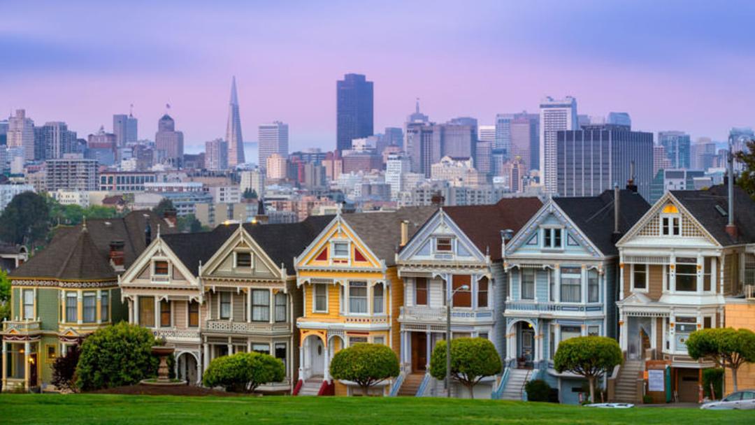 Painted ladies