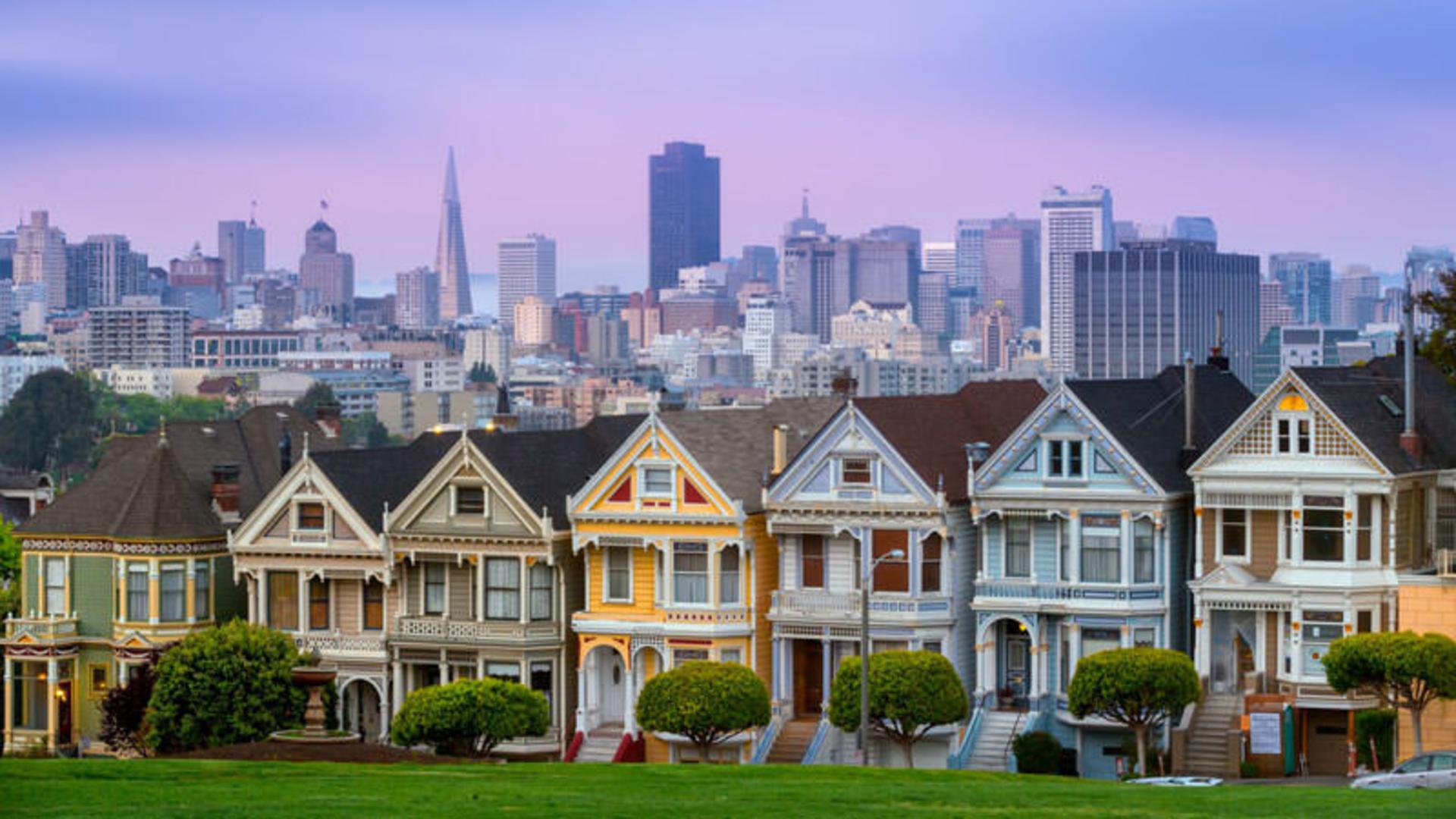 Painted ladies