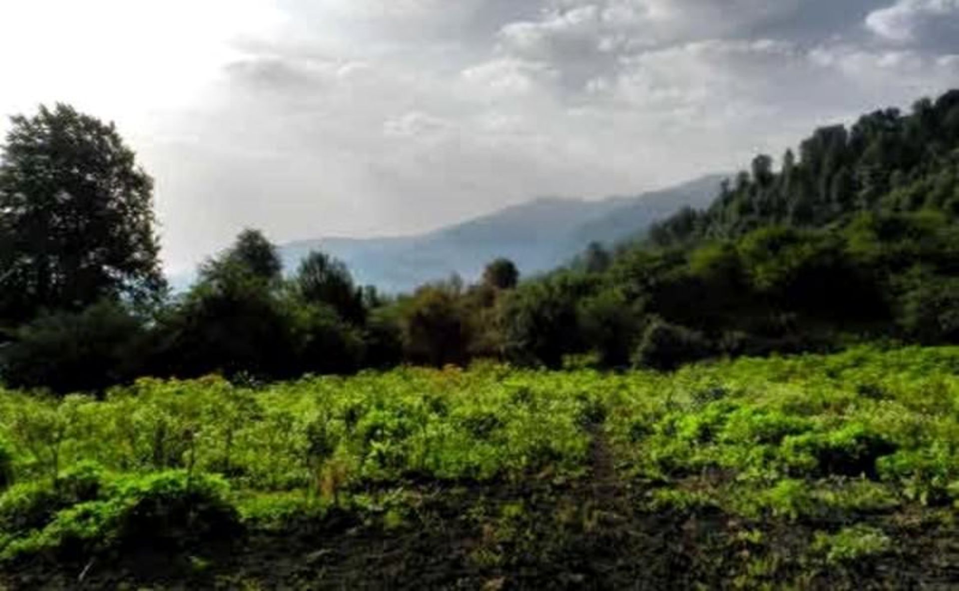 الیمستان و قلاردن