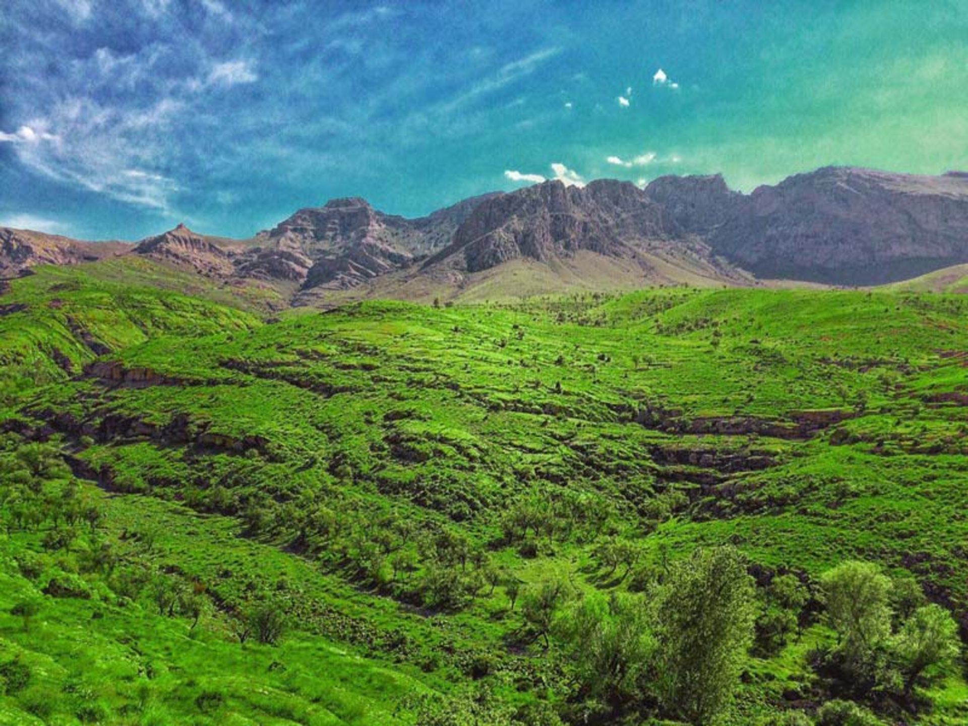 عکاسباشی