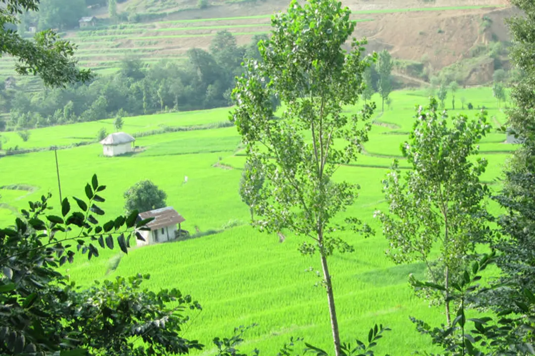 طبیعت ساری
