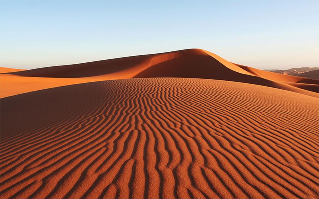 بیایان لوت