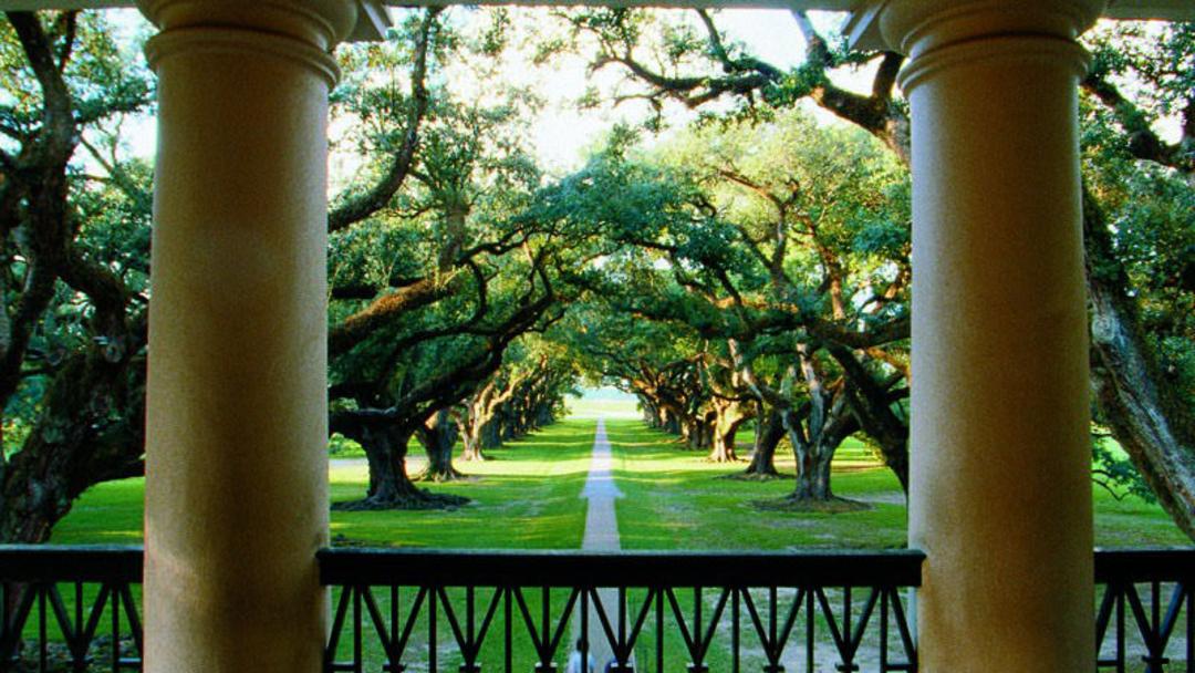 Oak Alley Plantation ۳