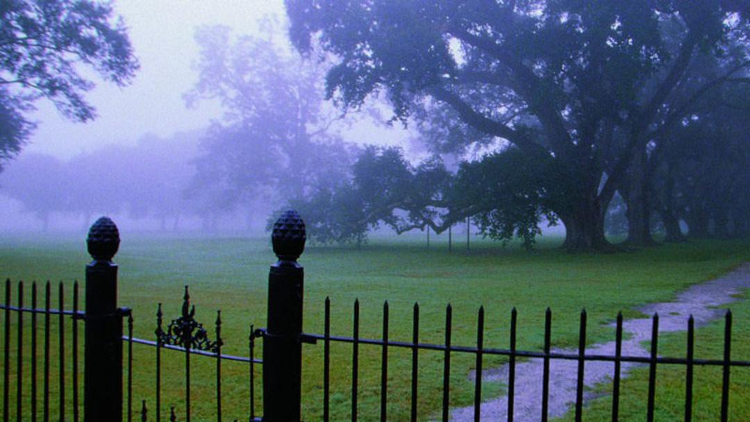 Oak Alley Plantation ۵