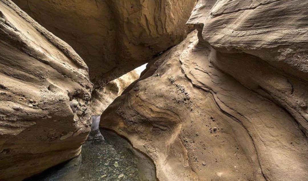 در سفر به رفسنجان کجا بریم؟