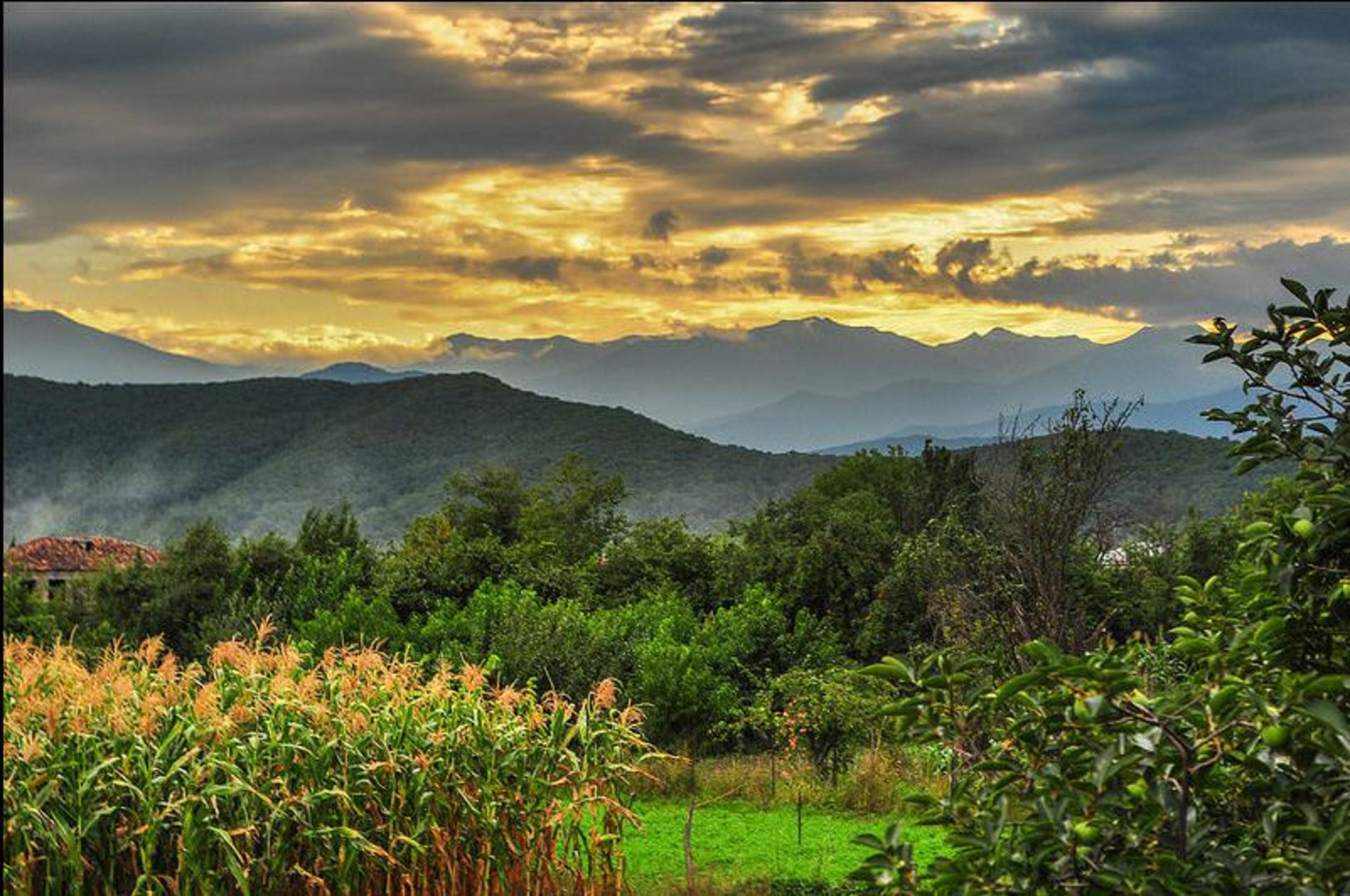طبیعت گرجستان