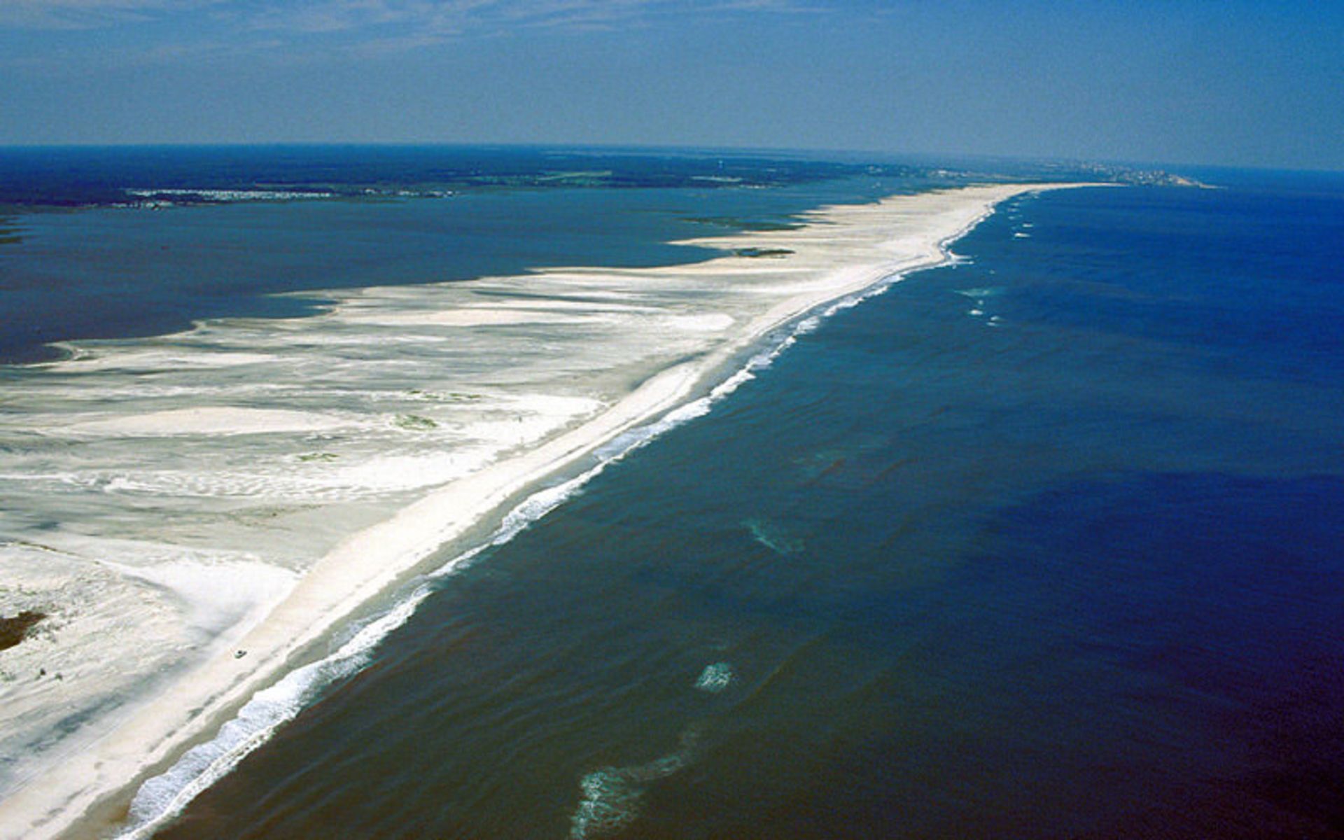 جزیره Assateague Island 