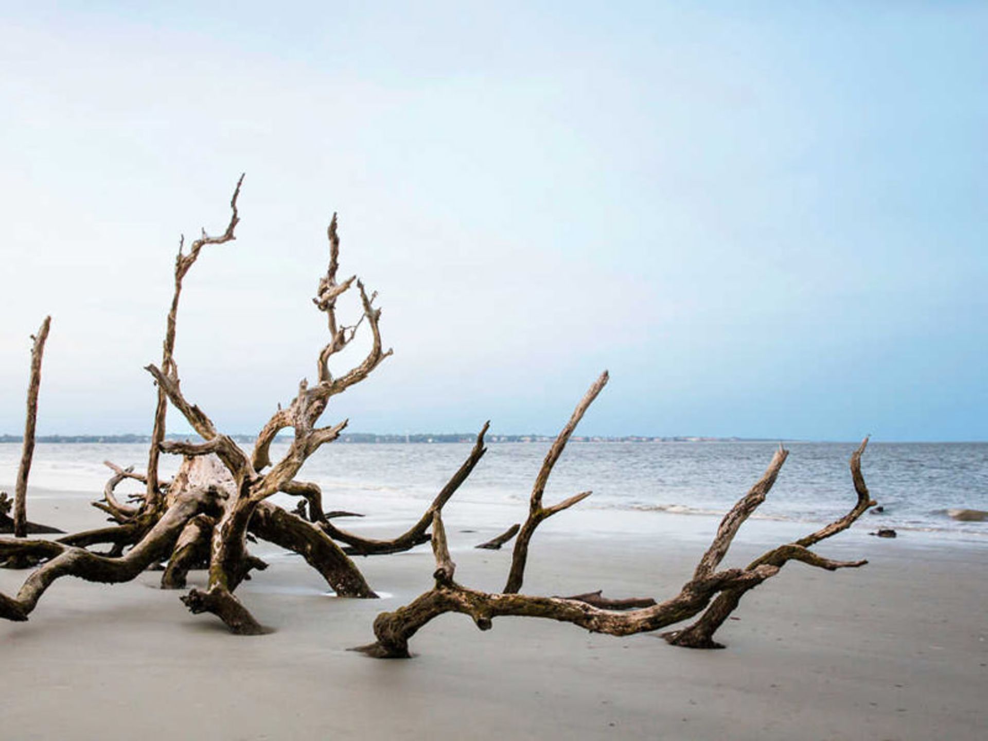 Kiawah Beachwalker Park کارولینای جنوبی