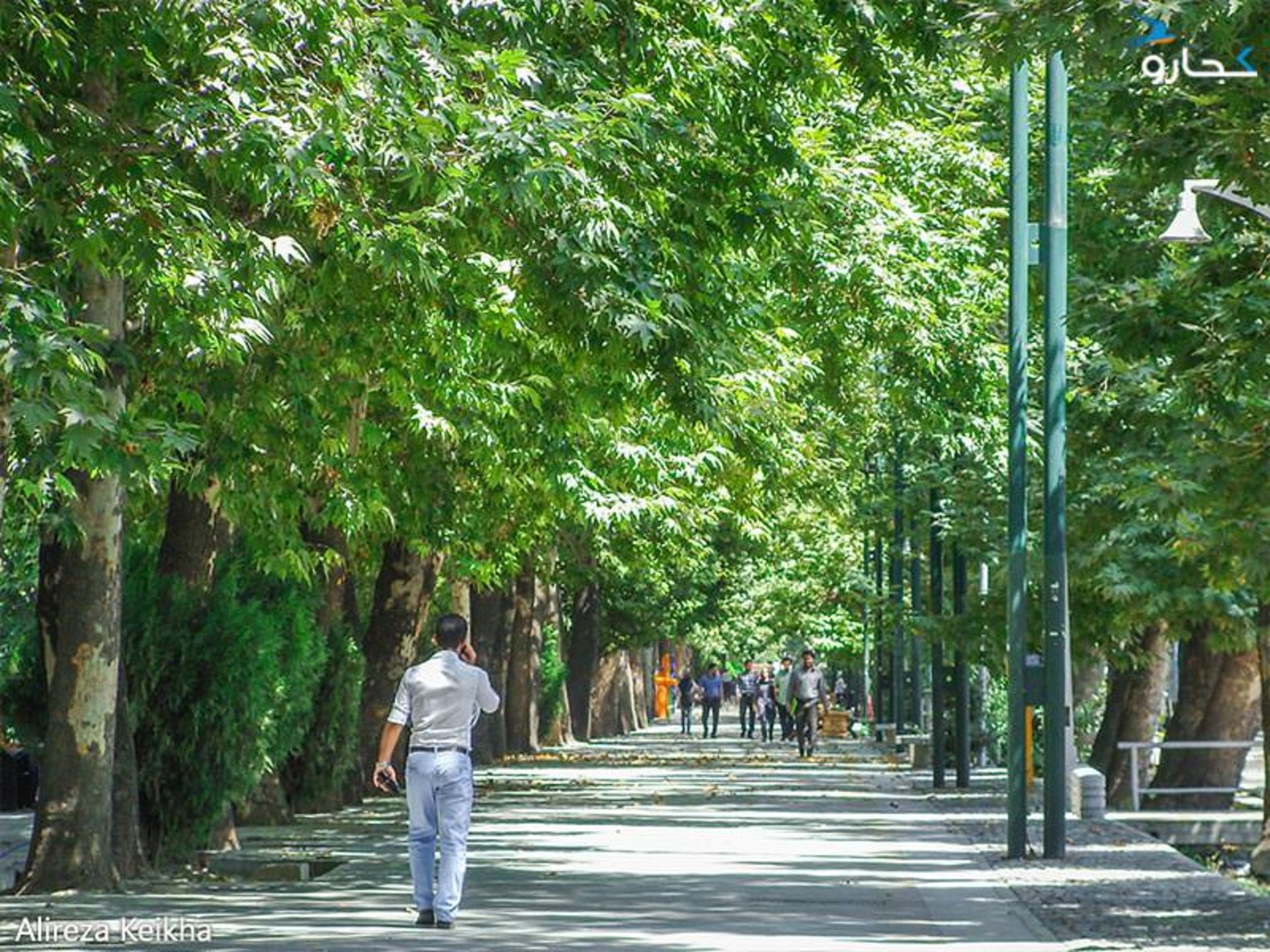 پارک ملت - گرمای هوا 