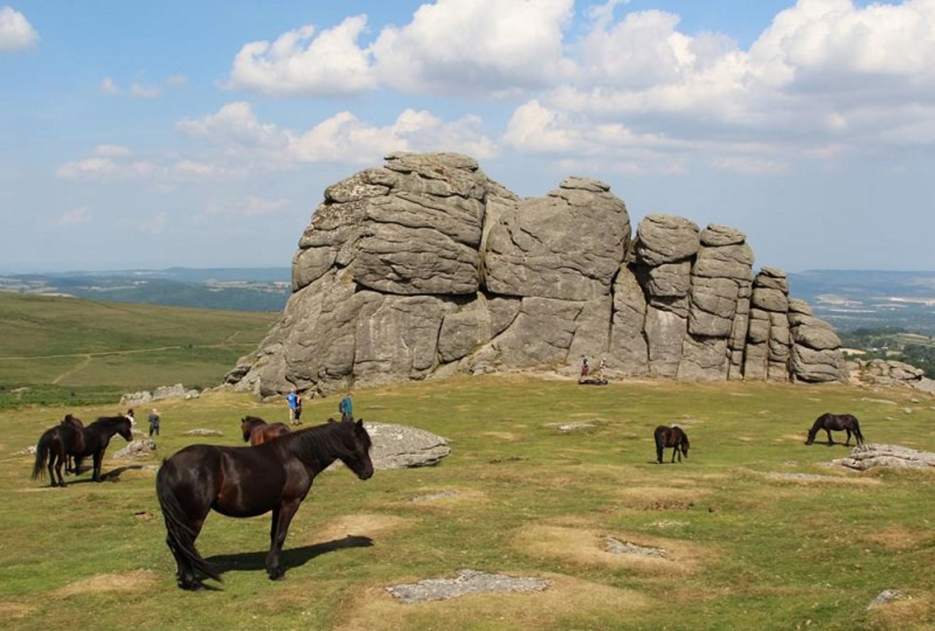 هیتور